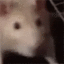 Twitch_ratJAM